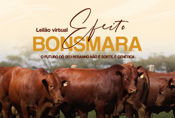 LEILÃO VIRTUAL EFEITO BONSMARA